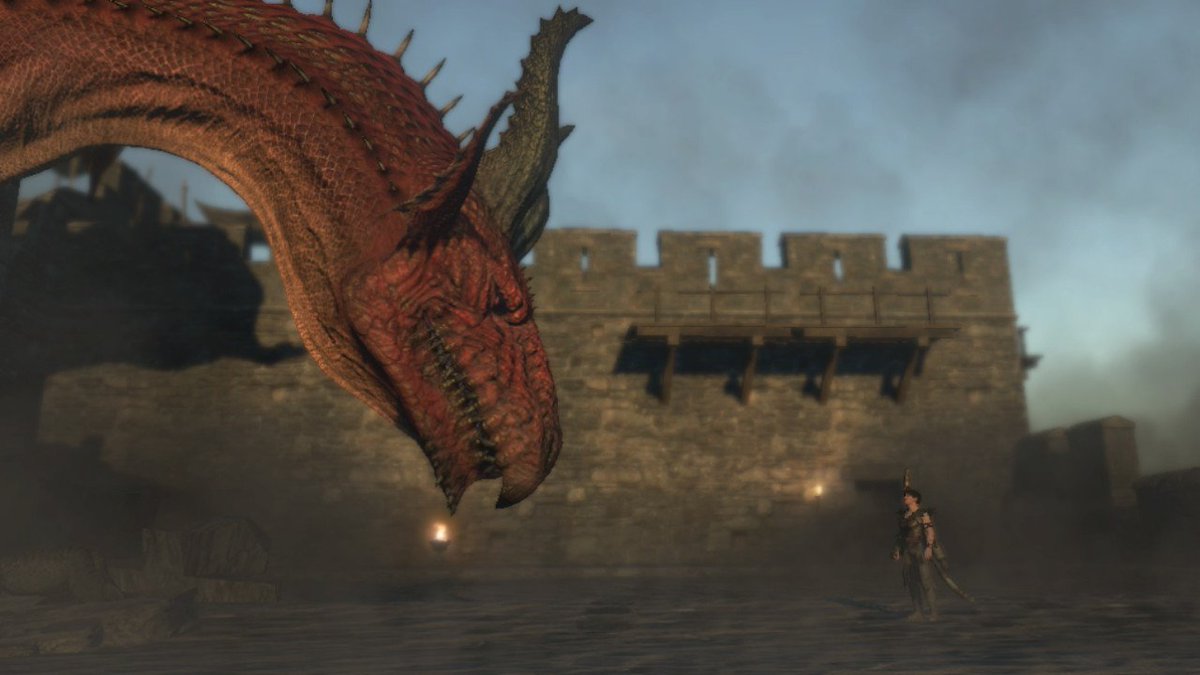 Dragons dogma shields. драгон догма 2. Dragon dogma 2 инвентарь. драгон догма 2. Dragon's dogma ps3 скриншоты.