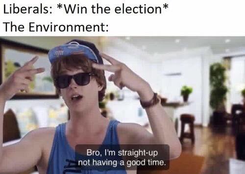 vrin_dizzle's tweet photo. #AUSVote19 #auspol #australiavotes https://t.co/qhF2ImTpx7