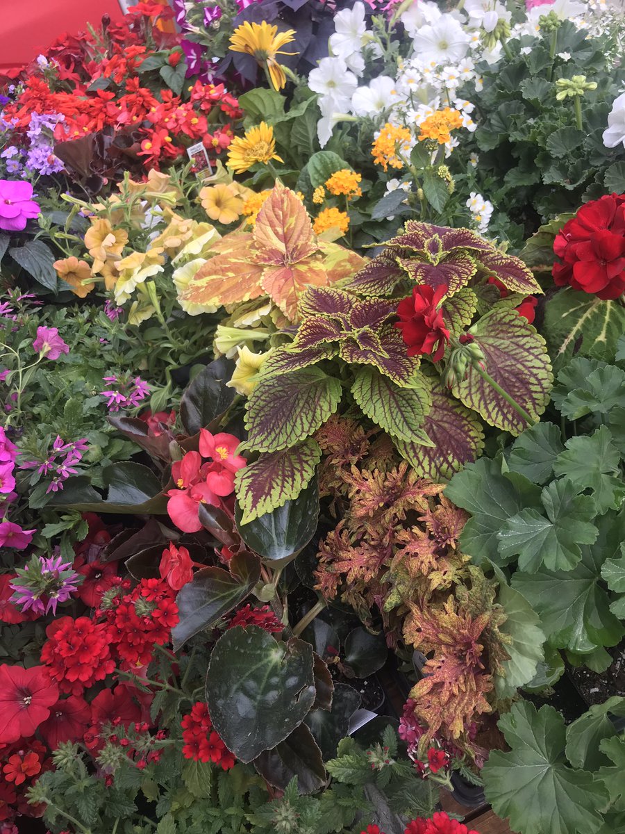 TheAppleWorks's tweet image. Come visit us at the Franklin Farmer’s Market until noon today!