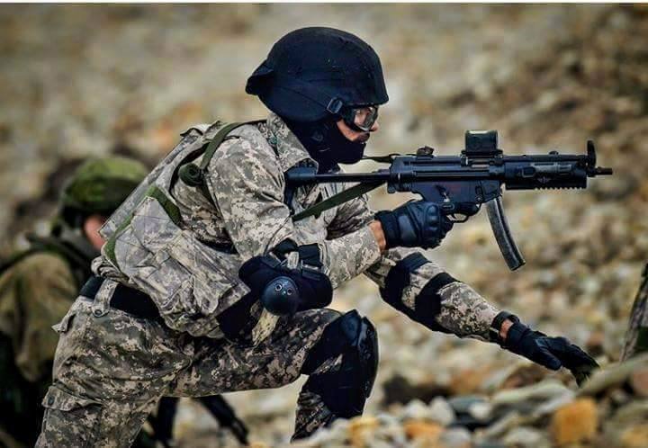 indiandefence11's tweet photo. ~List of Submachine Guns/Personal Defense Weapons used by Indian Forces~ 

1. It is a 9x19mm SMG which is the STD weapon for NSG, MARCOS and various SWAT/HRT for CQB and Security Purposes. Variants like A3, A5, Compact (MP5K), SD &amp; SD6 in service. Used with Zeiss and EOTech Sight https://t.co/GNeM1dNz4m
