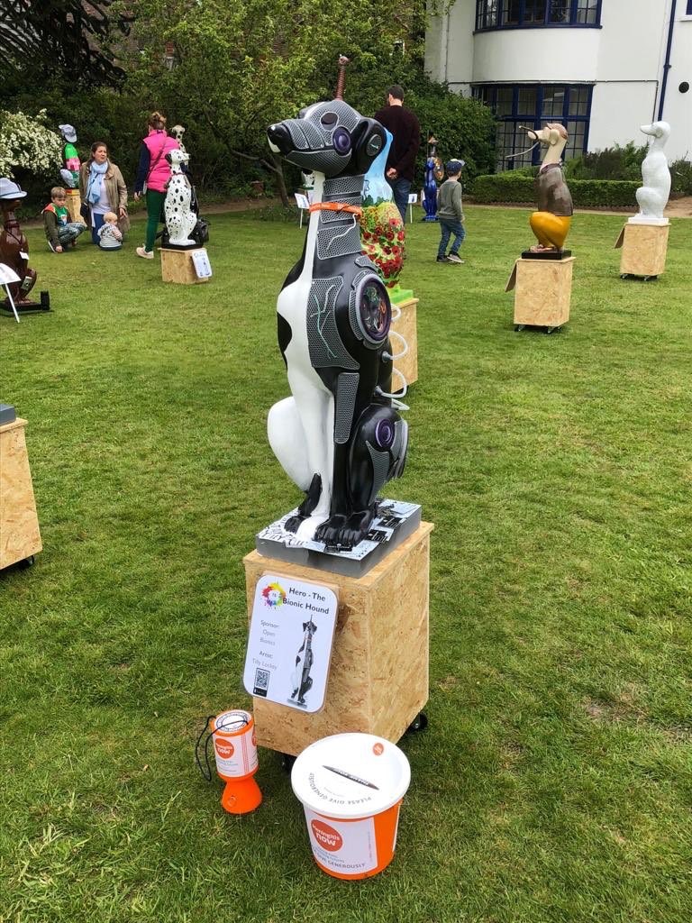 GiveTillyaHand's tweet image. Tilly’s ‘Bionic Hound’ all set up at the launch of @HaslemereHounds We want to raise as much money for  @MeningitisNow sponsored by @openbionics Please if you can spare a few pennies donate here justgiving.com/fundraising/ti… and help us raise money to save and support lives. Thanksx