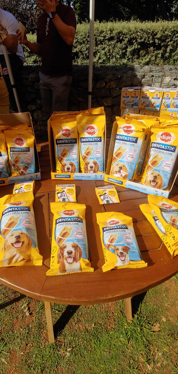 HelloMagSA's tweet photo. Bravo to the wonderful team @Pedigree #pedigreesa #thelindenmarket who have supported CLAW adoption by donating 1.4 tons of food. And BTW you can adopt a dog today at the linden market.. Just saying https://t.co/qrwlPkxlLW