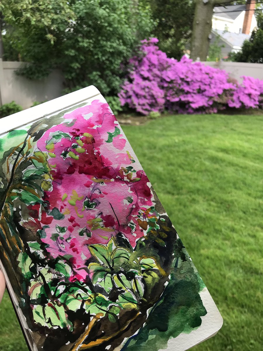 Yesterday’s #PleinAire #watercolor #sketching the soon to be done #azalea show in the #garden #longIsland #NY #artistsontwitter