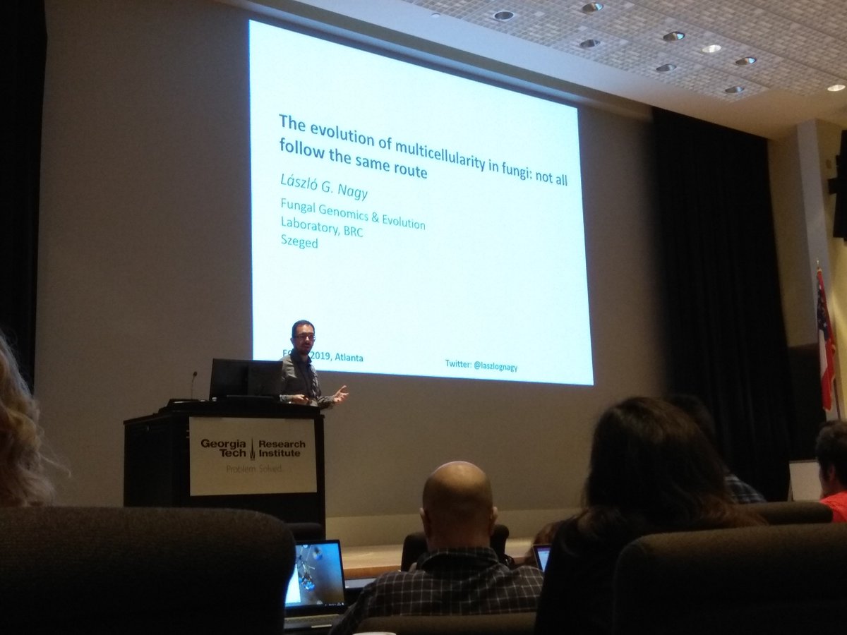 SysbioS's tweet photo. @laszlognagy's presentation at @ECLife2019 (Evolution of Complex Life Conference): The evolution of multicellularity in fungi: not all follow the same route
@SysbioS #ECLife, #GeorgiaTech, #Atlanta, #majortransitions, #evolution https://t.co/Pr0HjbbsXT