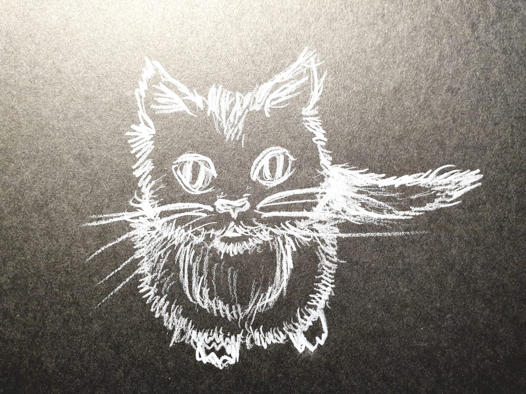 conceptpersonal's tweet photo. EINE KLEINE LEKTÜRE ZUM WOCHENENDE
Über Katzen auf Instagram. Spannend! #Kommunikationsagentinnen
#coaching #socialmedia #socialmediamarketing #hallovuca #workshops
https://t.co/PDoCCPfoaO https://t.co/MvFQJltFwB