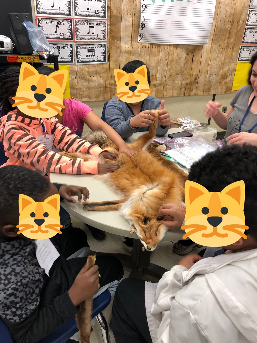 The students <a href="/MadocDrive/">Madoc Drive PS</a> had a great time with scientist in the school learning about animals. Thank you to <a href="/Madoc_council/">Madoc Parent Council</a> for the wonderful experience and all of our parent volunteers!!!