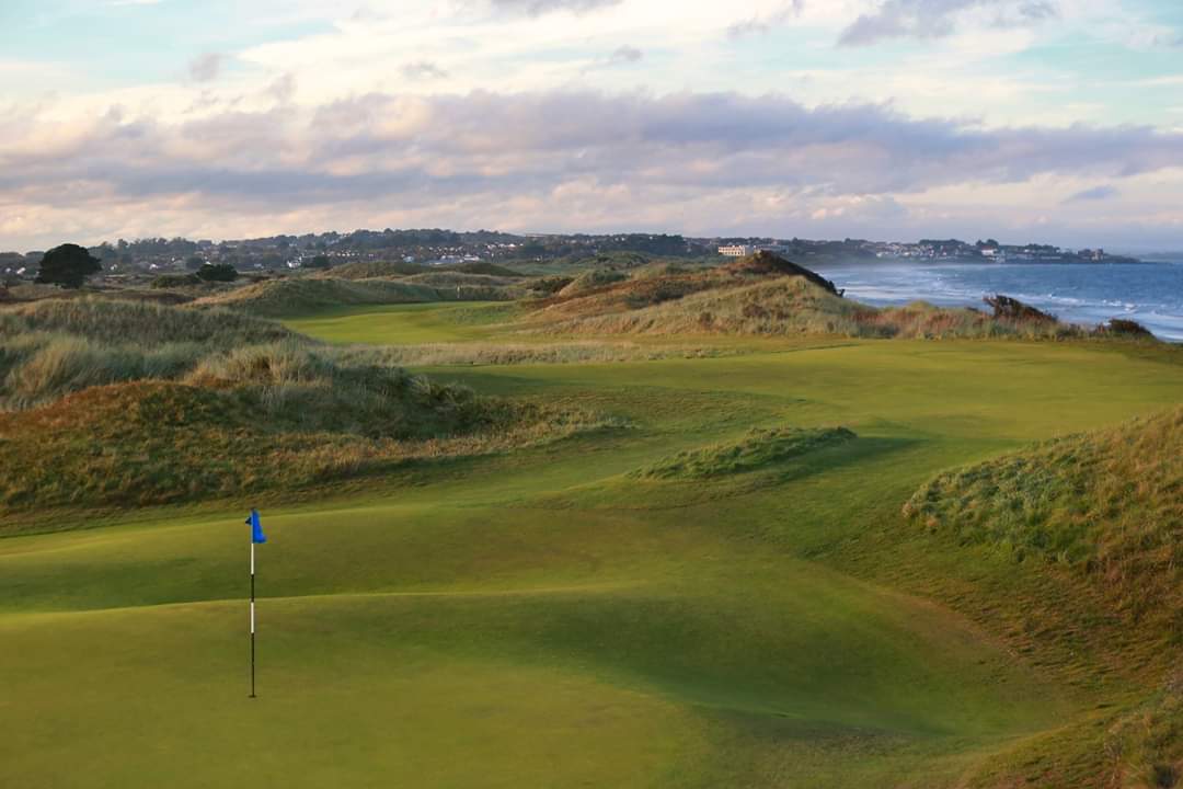 Emerald Five Star ☘⛳ tweet media