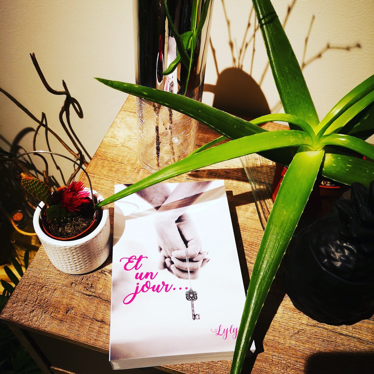 chups_choupa's tweet photo. https://t.co/fuIIzgcI3p
#ecrivain #auteur #wattpad #Amour #Romance #Lecture #LivreAddict #roman #Amazon #Love #livre #addictLecture #cadeau #bookboyfriend #lecturedumoment #PAL #feelgood #comedieromantique #autoedition #humour #lire #livreàlire #passionlivre https://t.co/MlSngYuSDa