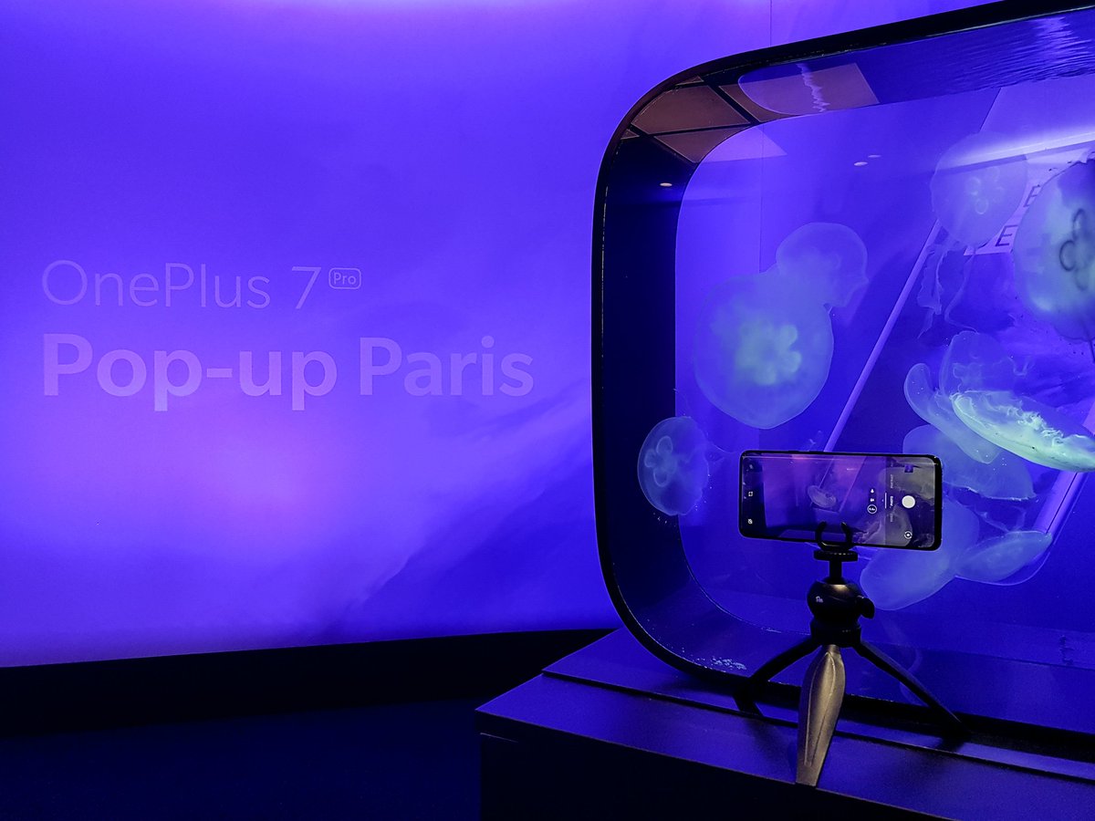 # Marion tweet media