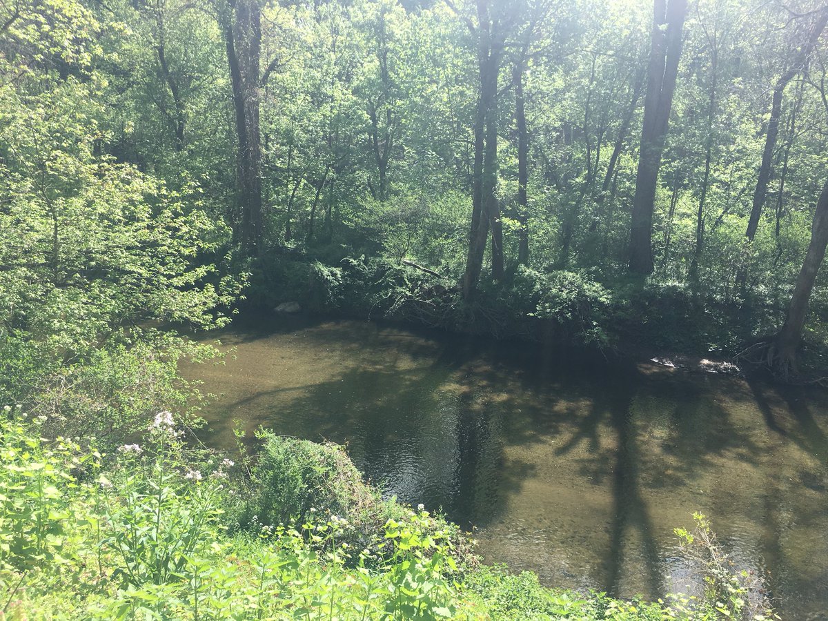 Caren329's tweet photo. Morn! Just did a two mile walk #getbackintoit #nature #calming #needit https://t.co/ICqCZ1OziZ
