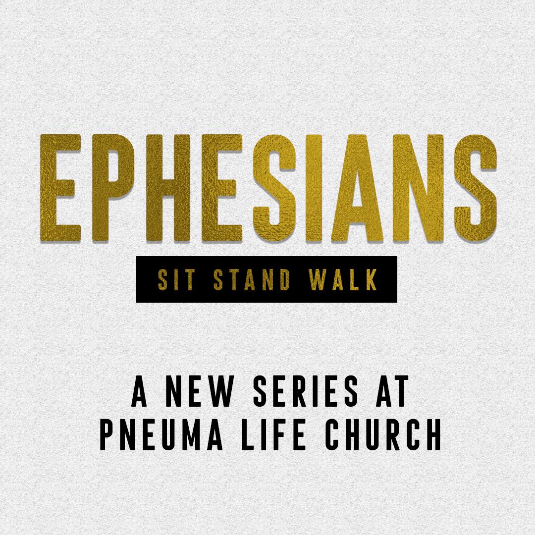 HelloPneumaLife's tweet photo. We are looking forward to another great service at Pneuma Life Church &amp; the start of a powerful new message series. ⛪

Join us at 10AM
4100 Race Track Rd. 
Saint Johns, FL 32259

p.s. We are saving a seat just for you! 😉

#pneumalife #localchurch #welovesundays #timeforchurch https://t.co/nu0l8l3eXk