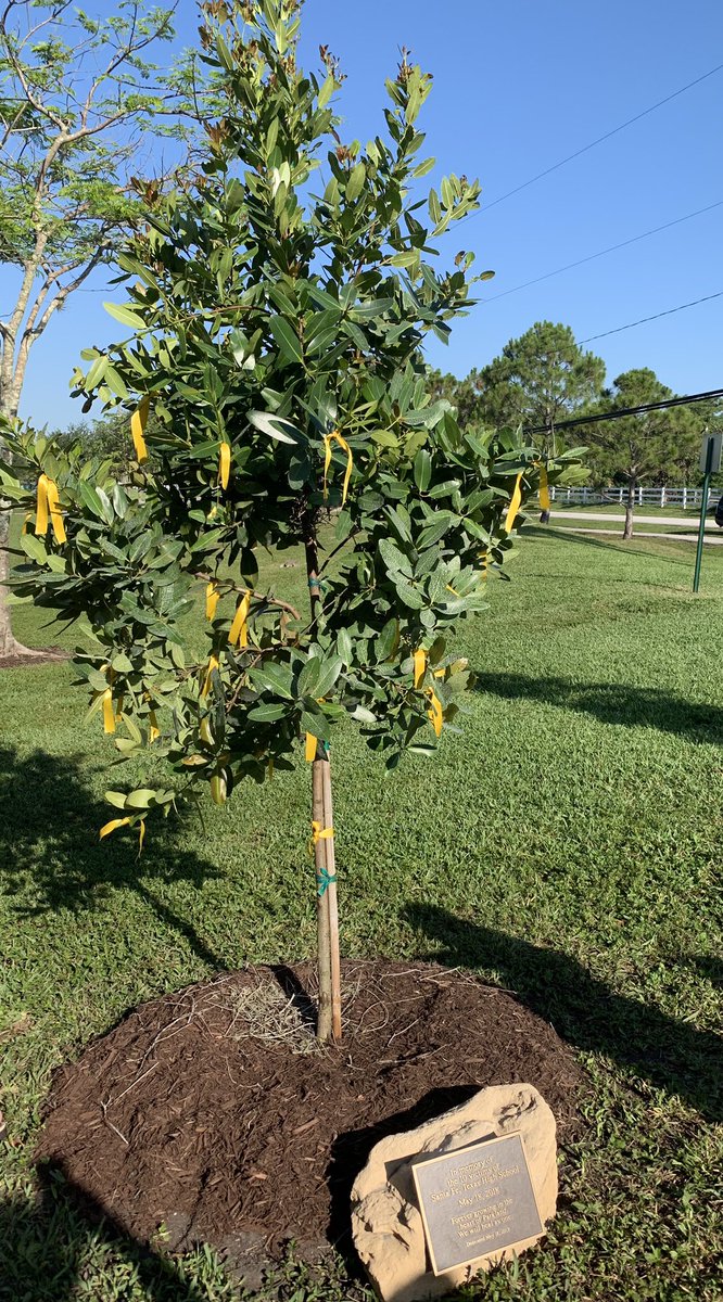 CHunschofsky's tweet image. Beautiful ceremony this morning honoring the people taken at Santa Fe High School one year ago today. We dedicated a tree in memory of the loved ones who were lost. Our hearts are with the families and the entire Santa Fe community today. #SantaFe #Parkland #HealingTogether