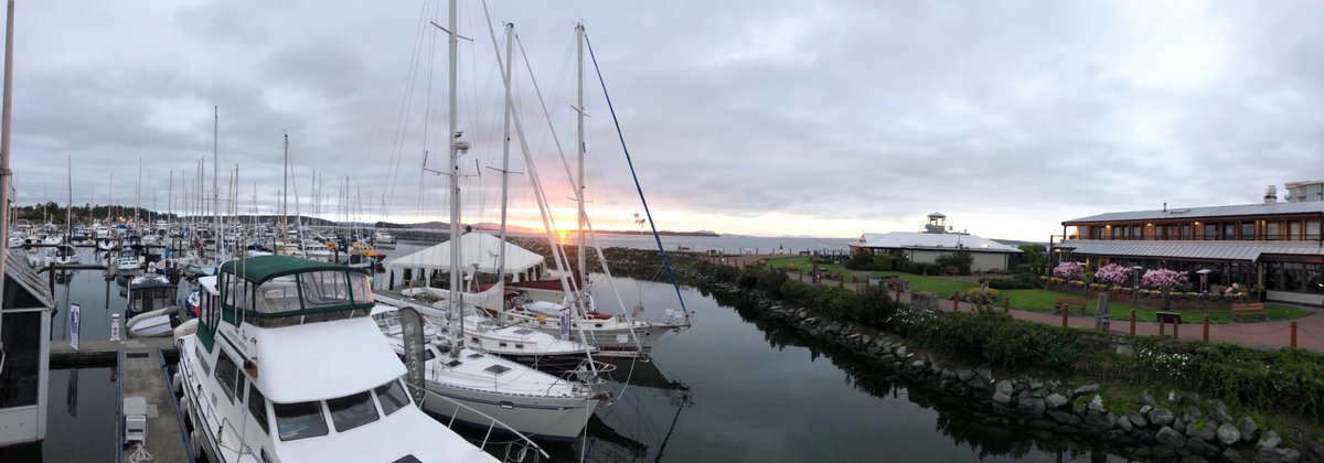 Stephen J. Schaff tweet media