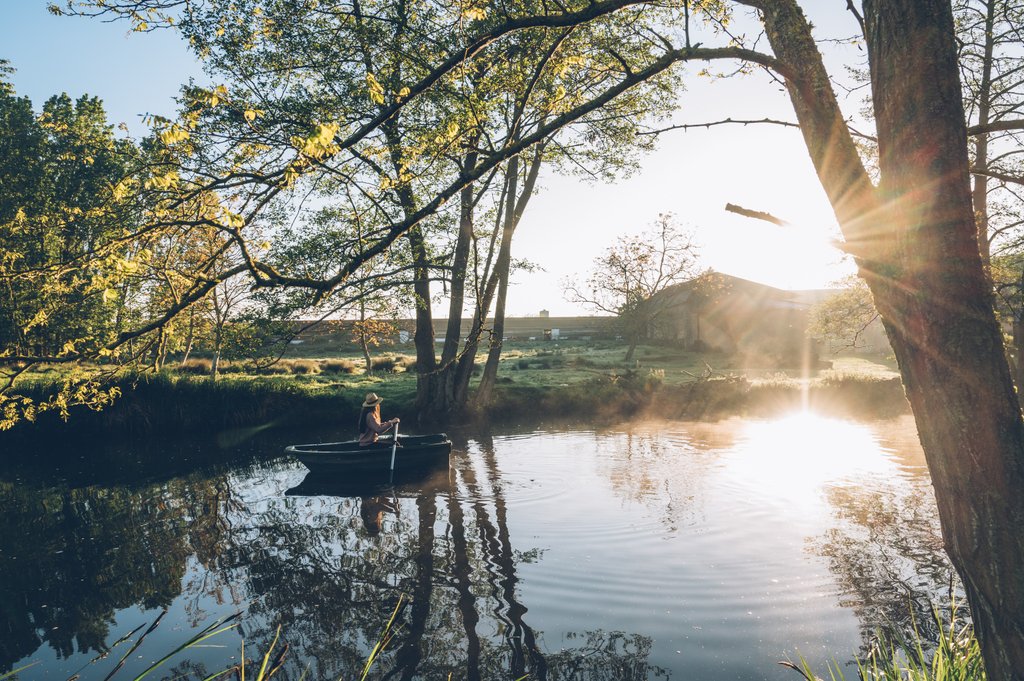 Elisa & Max tweet media