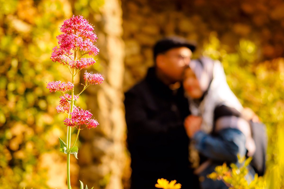 This time I didn’t focused on the physic bodies of this recently married couple but on all the love they feel for each other in this new chapter of their lives.
What do you all think about an out of focus portrait?
 #jrdbcn #barcelona #bcn #couplephotoshoot #barcelonaphotographer