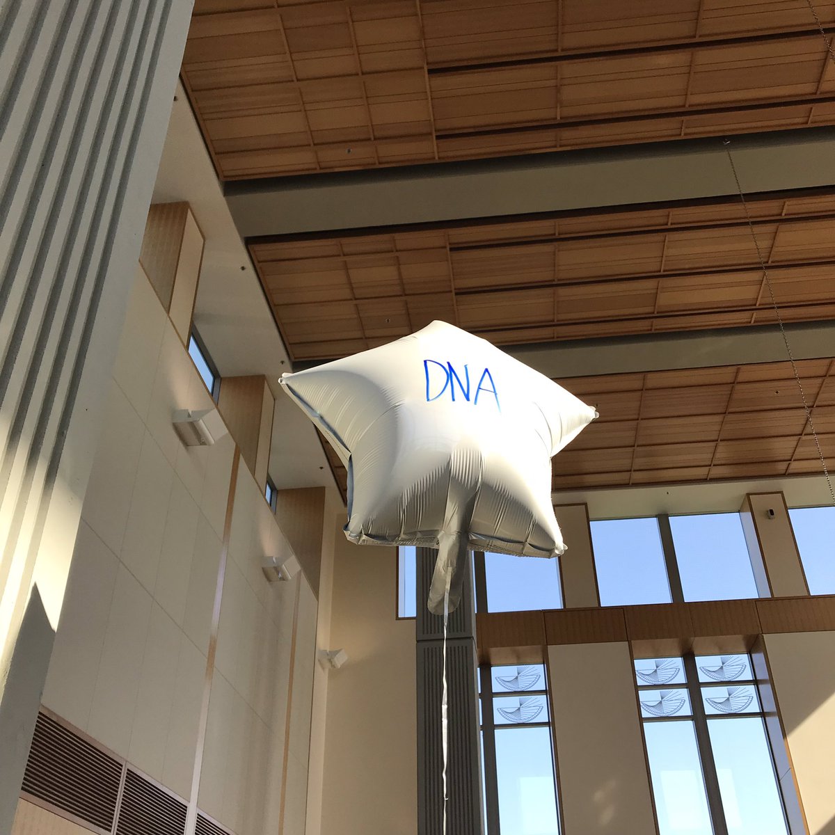 TriangleWiSTEM's tweet photo. Girls put your lab coats on! Students gather to learn what biotechnology means, how it has advance through history, and execute hands-on experiences #TriWiSTEM #TRIGIRLSTEM #GIRLSSTEMDAYDUKE https://t.co/03fL4gFtu8
