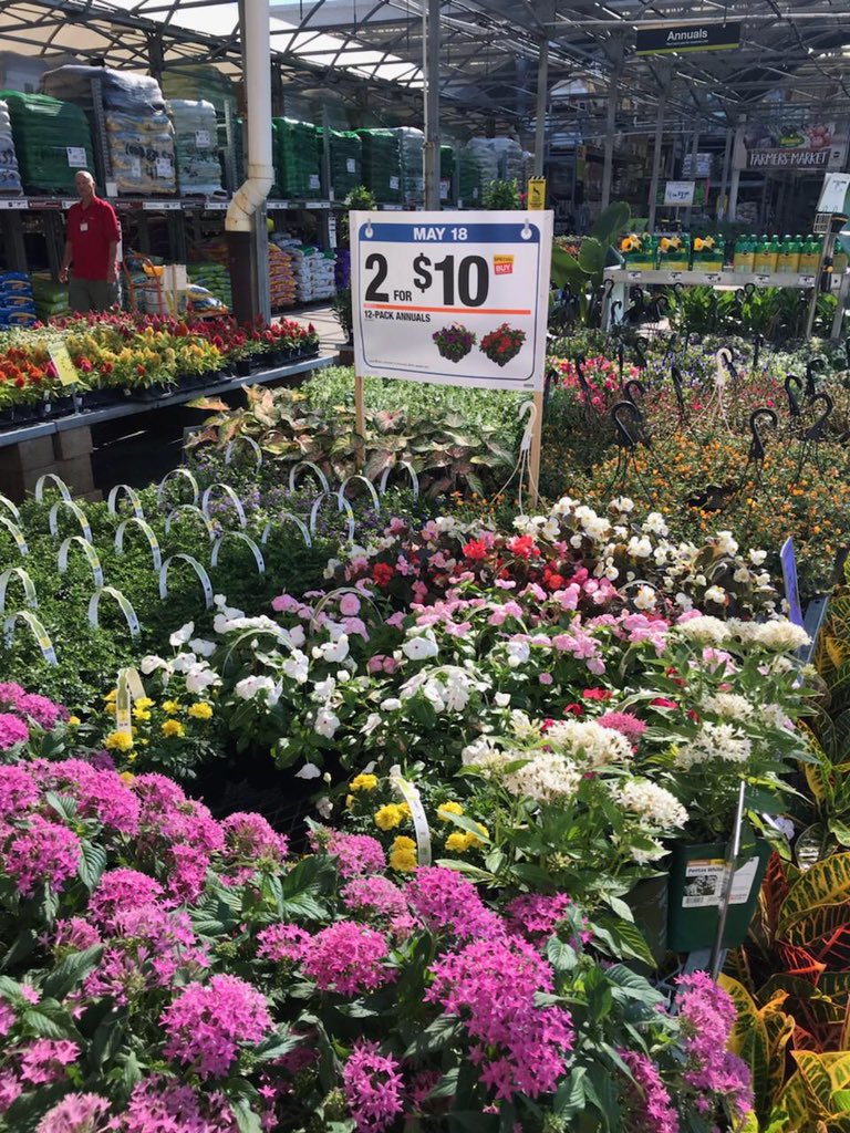 TerryThurst's tweet photo. 12 pk Ad sets at 248 https://t.co/dZss0fXbIG