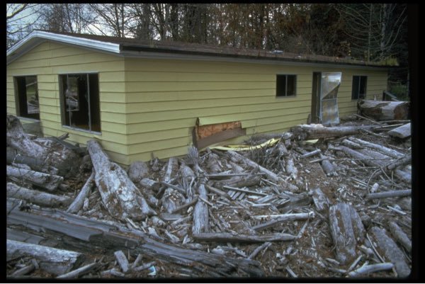 Forest Service NW tweet media