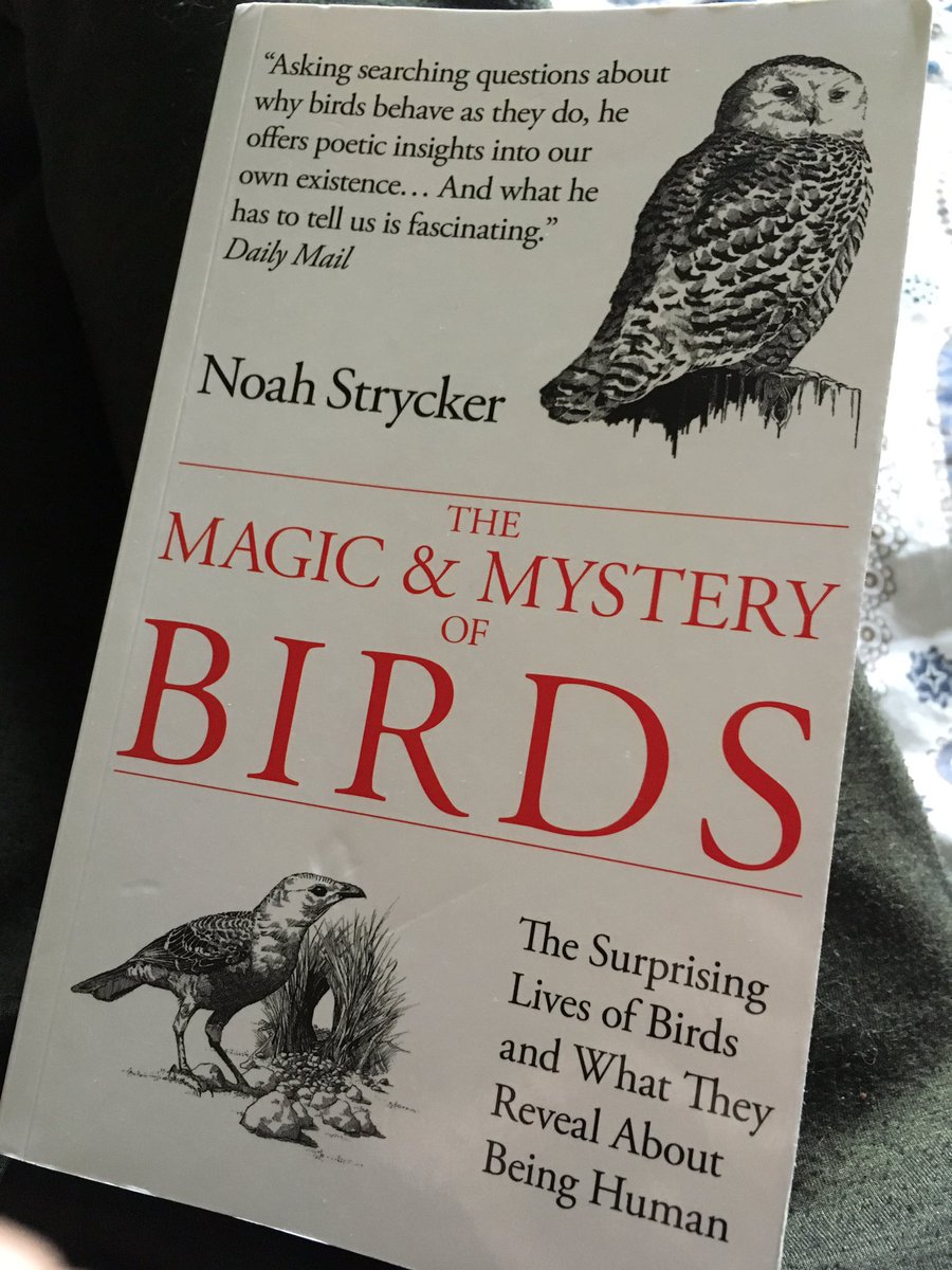 Halfway through this brilliant book by @NoahStrycker and can’t recommend it enough to nature lovers and bird addicts everywhere! So many fascinating facts (snowy owls are nomads - Who knew?!) #birds #nature #birdwatching @Natures_Voice