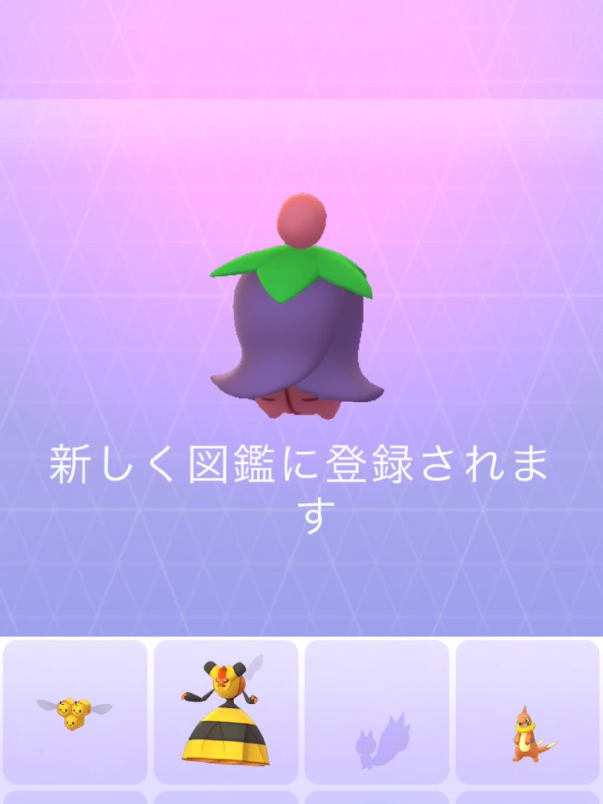 カラナクシひがしのうみ Twitter Search Twitter