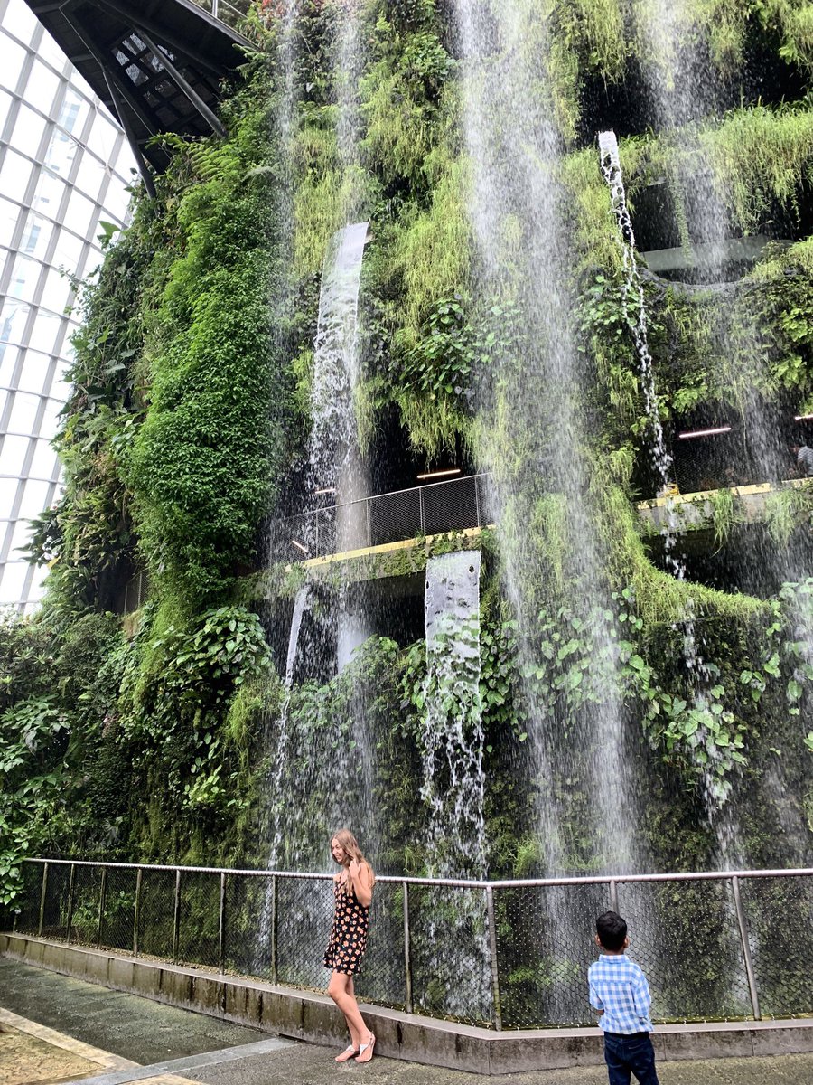 artrigger's tweet photo. シンガポールの観光地ガーデンズ・バイ・ザ・ベイという植物園に行ってきました!🦋🌴🌿一言でいうと…ジュラシックパーク!!! 全てがでかい。ドヤ感がすごい。
https://t.co/rUlcR5qoqH
#シンガポール
#GardensbytheBay
#植物
#写真撮ってる人と繋がりたい
#Artrigger https://t.co/o9rozMfr4V
