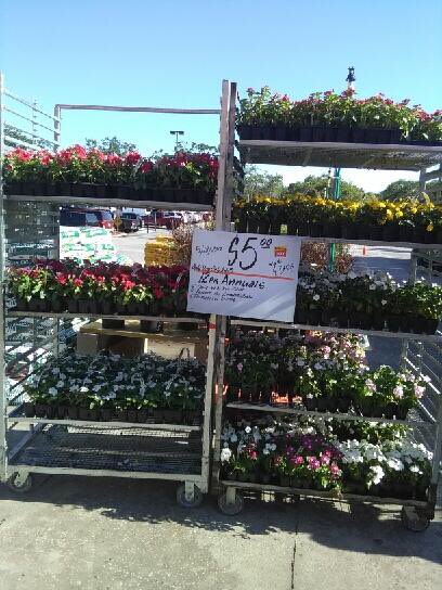 TerryThurst's tweet photo. 12 pk Ad set at 6357 https://t.co/QTAnIoV7mT