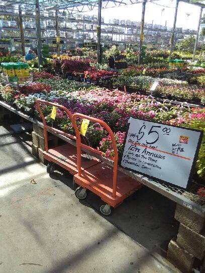 TerryThurst's tweet photo. 12 pk Ad set at 6357 https://t.co/QTAnIoV7mT