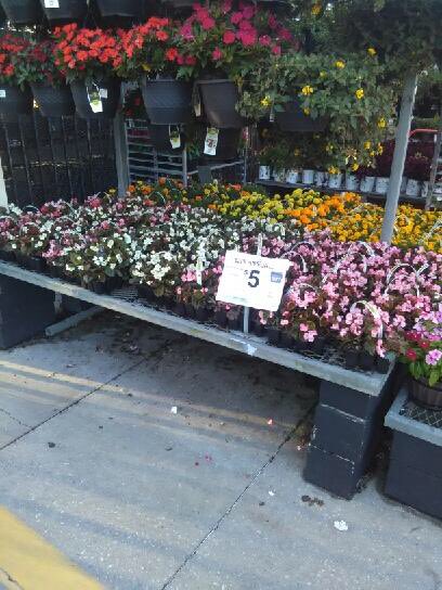 TerryThurst's tweet photo. 12 pk Ad set at 6357 https://t.co/QTAnIoV7mT
