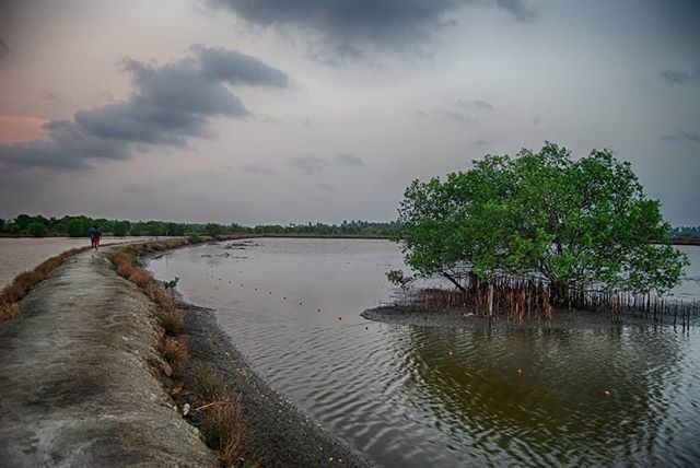 The road less taken .... .
.  #landscapes #water #mangrove #mangroves #instanature #twilight #summer #botanical #nature_shooters #riverwalk #landscape #dusk #riverside #photooftheday #beautiful #walk #bloom #nature_prefection #nature #amazing #hdrphotogr… bit.ly/2VPiwkn