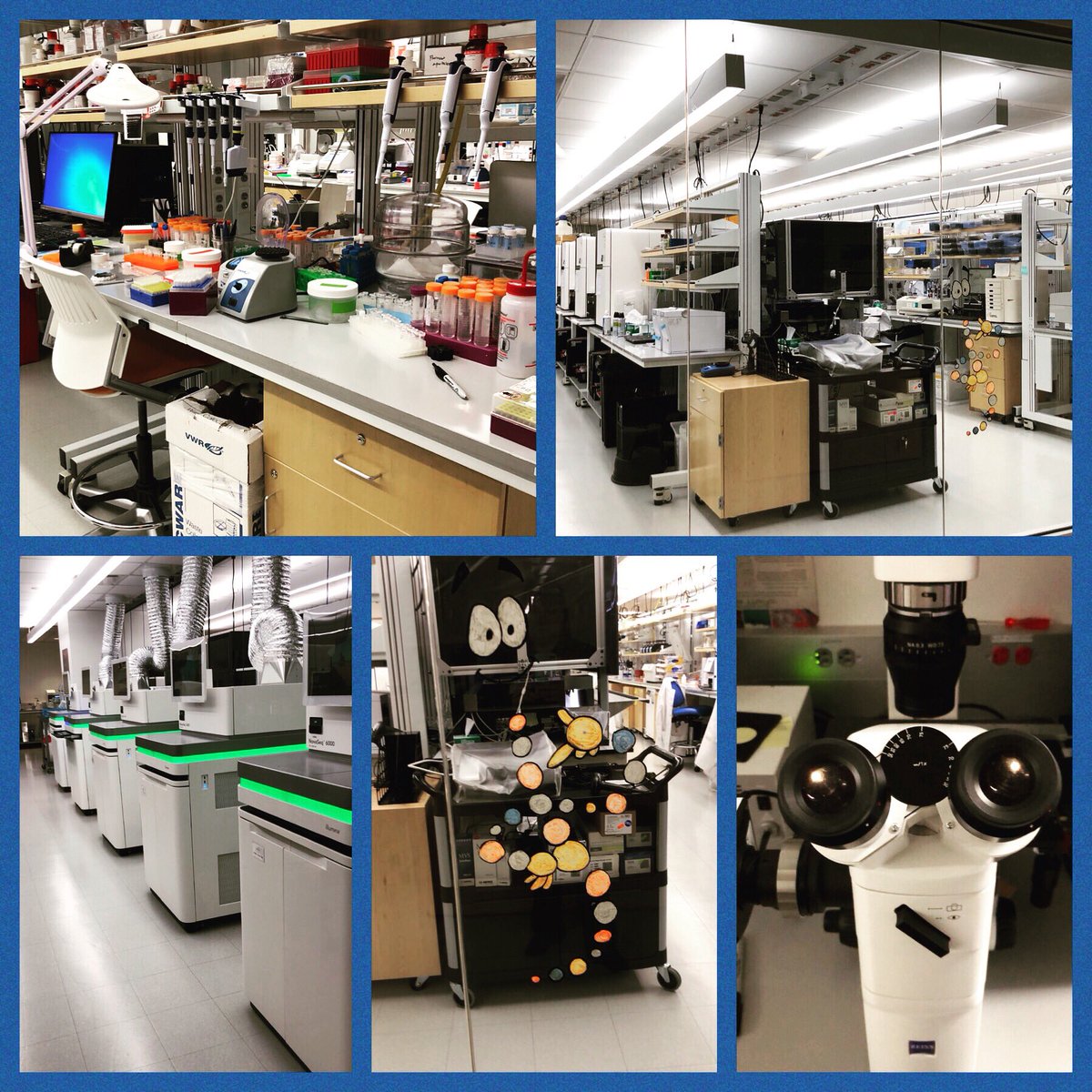 The Basso Brigade (@thebassobrigade) on Twitter photo The NY Genome Center - where the magic happens. Conducting ALS research and providing hope. #ALSAwarenessMonth #TalkALStoMe #DefeatALS <a href="/alsassociation/">The ALS Association</a> <a href="/ALSofGNY/">ALSUnitedGNY</a> <a href="/WalktoDefeatALS/">Walk to Defeat ALS</a> <a href="/nygenome/">NY Genome Center</a> The NY Genome Center - where the magic happens. Conducting ALS research and providing hope. #ALSAwarenessMonth #TalkALStoMe #DefeatALS <a href="/alsassociation/">The ALS Association</a> <a href="/ALSofGNY/">ALSUnitedGNY</a> <a href="/WalktoDefeatALS/">Walk to Defeat ALS</a> <a href="/nygenome/">NY Genome Center</a>