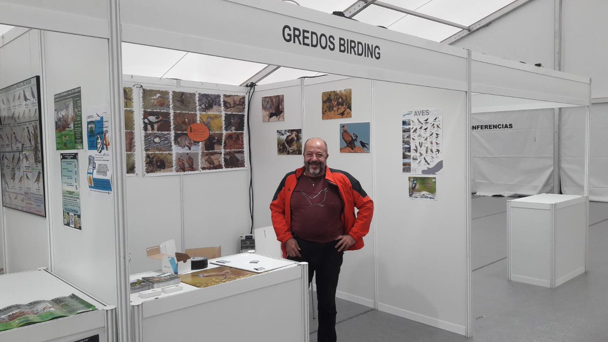 thebirdshotel's tweet photo. Presentes, como no, en la II Feria de #Ornitología y #Ecoturismo de Castilla y León @Ornitocyl, que se celebra en El Herradón – La Cañada (Ávila) del 17 al 19 de mayo. Esto es un "no parar"...😉 #Ornitocyl2019 https://t.co/TfDf234wGq #castillayleon #Birding #Gredos https://t.co/JryVLVaHb5