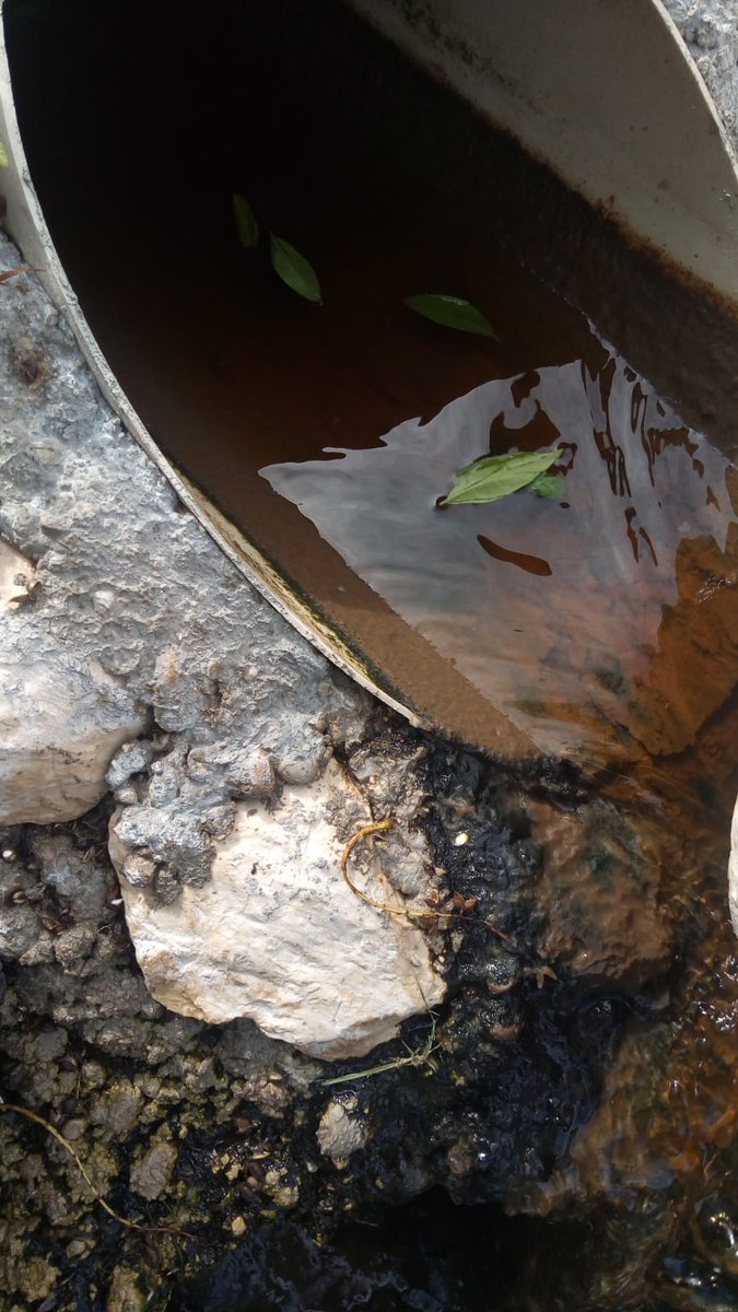 #Arpav è intervenuta oggi in seguito ad attivazione della #Poliziaprovinciale per presenza #scarico anomalo dal depuratore di un impianto #biogas al confine tra #mozzecane e #nogarole rocca. Sono in corso gli accertamenti da parte del personale tecnico intervenuto