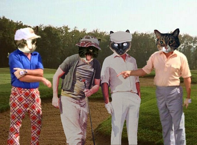 morbokif's tweet photo. We don't actually enjoy watching golf, we just enjoy watching the leaderboard #itsamaththing https://t.co/0mY8gayBmQ