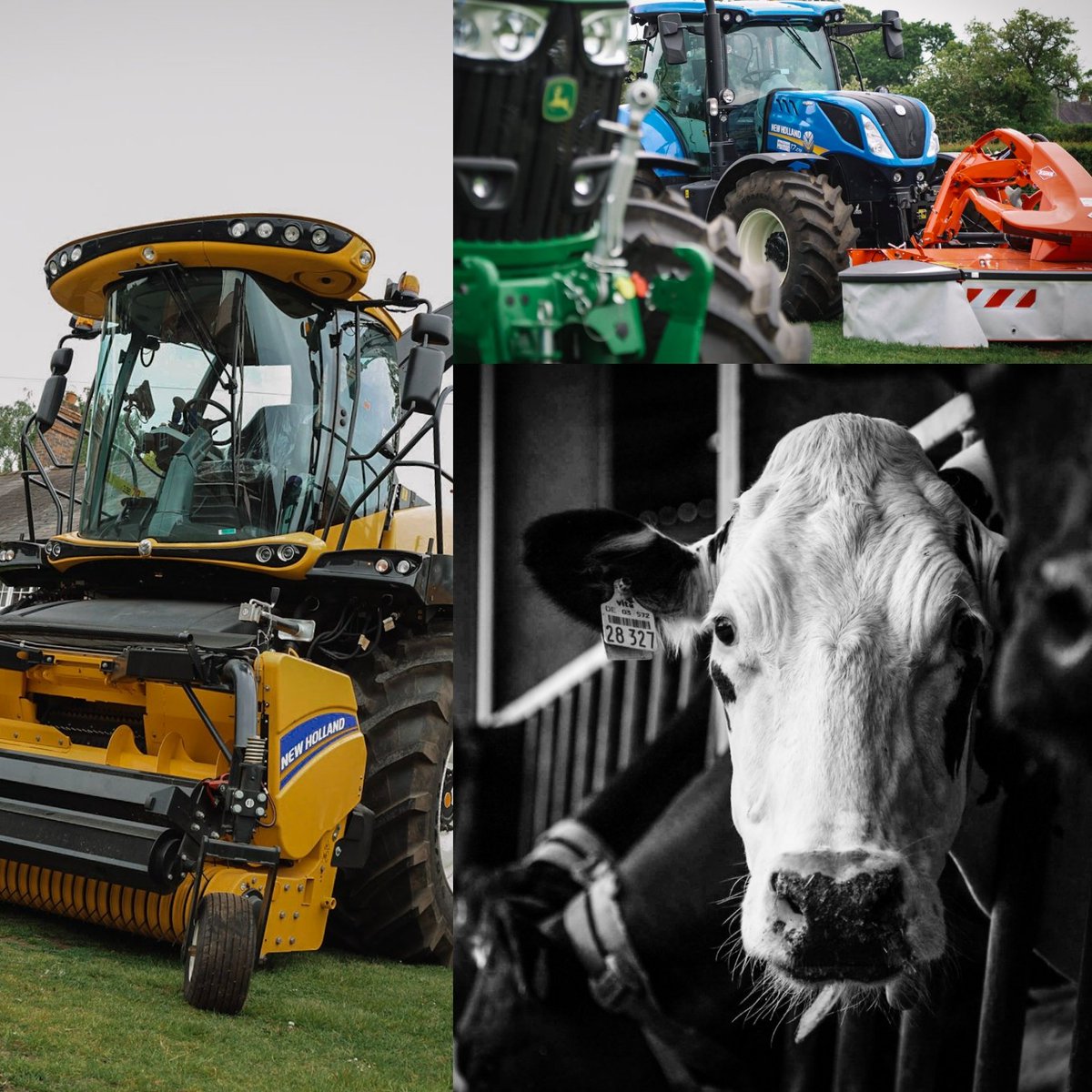 So tomorrow is our family festival open day ! Be sure to come along to @Reaseheath , the whole college is open and packed with fun events and activities for the whole family ! #collegefarm #teamdairy #Cheshire #cheshireevents #FamFest19