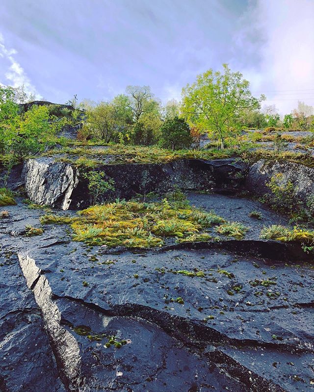 Neue_Meere's tweet photo. E I D F J O R D, NORWAY
•
#Throwback ♥️
#AIDAsolMomente #reisen #wellen #norway #norwegen #fjord #cruise #cruiseship #aidacruises #love #liebe #hobby #urlaub #travel #travelblog #travelblogger #followmearound #auszeit #aussicht #kreuzfahrtverbindet #… https://t.co/t4xBvBDNOT https://t.co/1lwkqNotGc