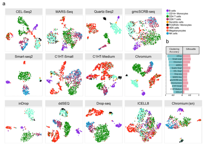 mmw_lmw's tweet photo. #SingleCell_RNAseq | Protocol Comparisons for #CellAtlas Project | Clustering analysis | Holger Heyn @_BIST @biorxivpreprint https://t.co/9PF1nqwWAF https://t.co/efLhh9gxfN