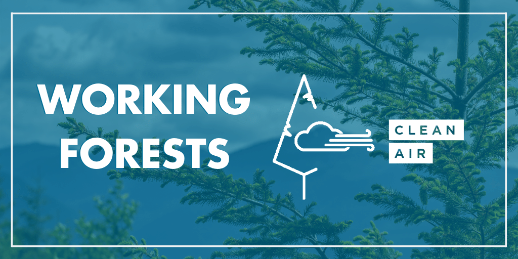 NAFO_Forests's tweet photo. The working forests in the USA provide more than just a steady supply of renewable wood products, a place for Bigfoot to hide, and 2.5 million jobs. 

Our forests also act as a massive carbon sink. 

Learn more about working forests and clean air here: https://t.co/lO6VJSUItx https://t.co/tsRjoDQ4GY