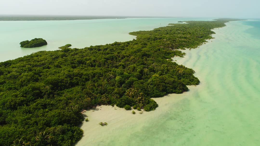 RivieraMayaBlog's tweet photo. Tamalcab is a small deshabitated island with white sand and calm waters that invites you to scape from everything, enjoying the beautiful flora and fauna.
#RivieraMaya #IslaTamalcab #Calderitas #TamalcabIsland
📸IG» eriqphoto https://t.co/3L3iv6kz5e