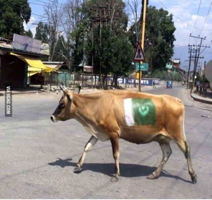 MukhtarWaraich's tweet photo. @MoonisElahi6 The #Kashmiris want independence. https://t.co/W3MTlbaiGs