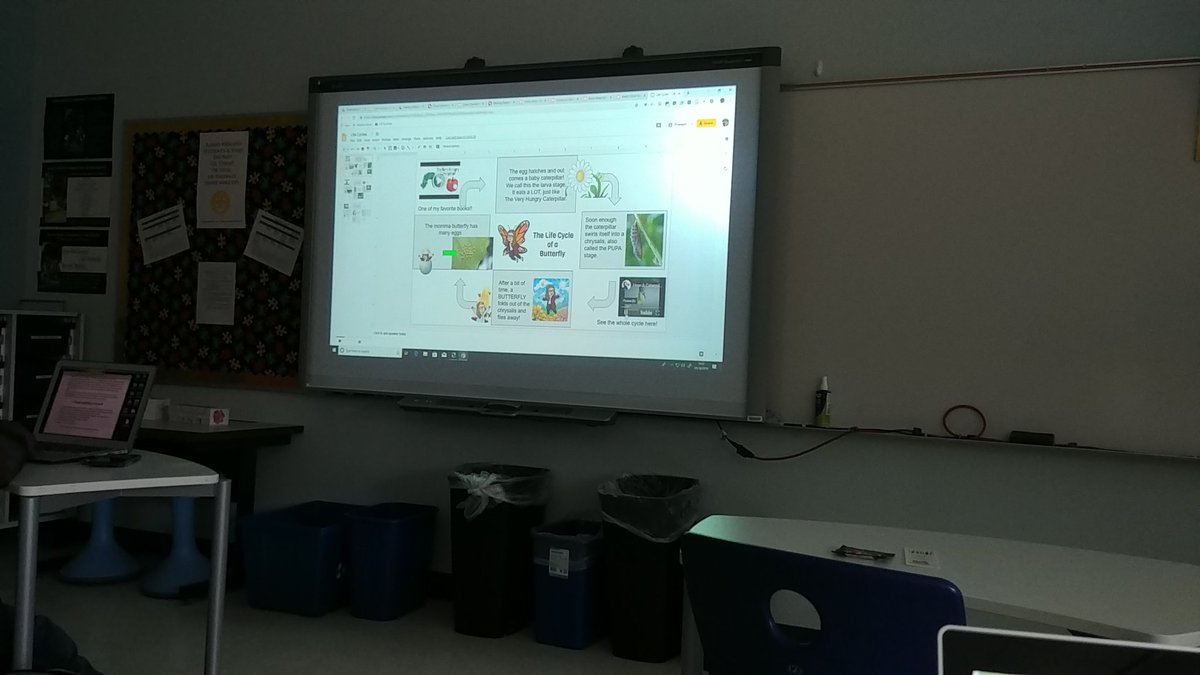 minnowdfly's tweet image. #txgoo19 life cycle slide. #LITLearning