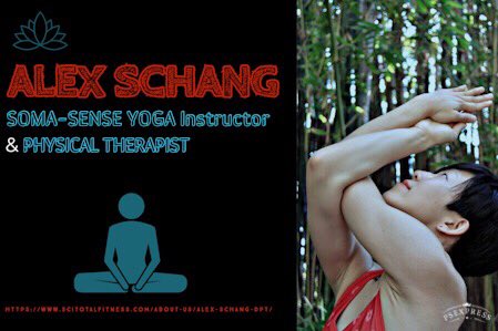 AdaptedExercise's tweet image. #adapted #accessibility #disabilities #wheelchair #inclusive #exercise