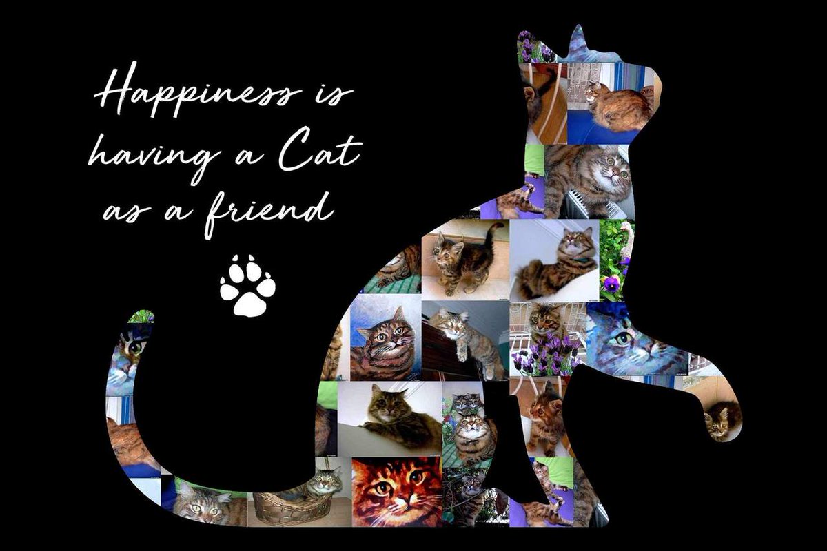 MacCreateArt's tweet image. If you have more #photos of your #furbaby than people, then check out our custom collages. Use code collage2019 at checkout.
#collageart #cats #Caturday #dogs #fathersday #friends #family #graduation #wedding #retirement #Travel #canvas #metal #acrylic #peelandstick #maccreateart