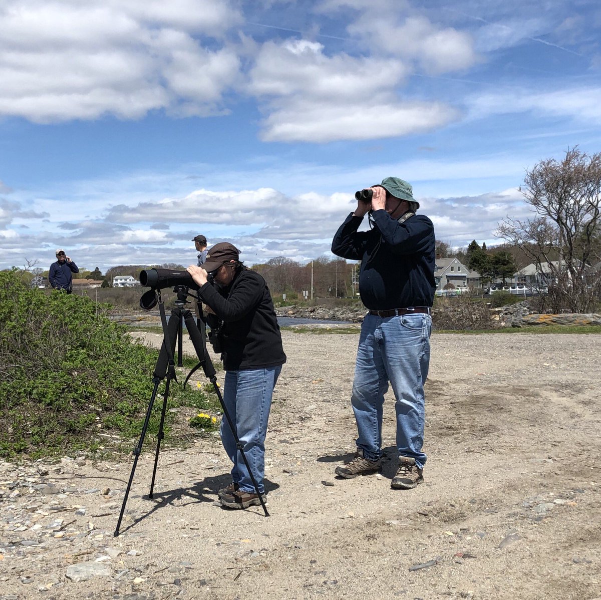 SMACaudubon's tweet photo. At Kettle Cove looking at Sandpipers and plovers. Beautiful day but the wind is keeping the birds away #birdathon2019 #MaineAudubon https://t.co/4Uzr3lugaZ