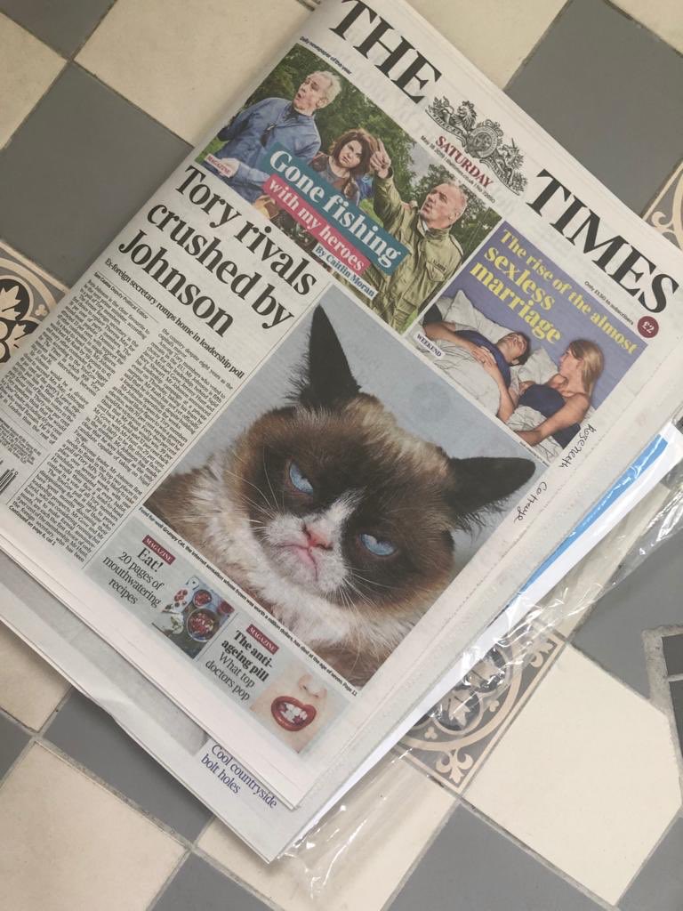 robhendo13's tweet photo. Thank you @thetimes .
In a world where the UK government in disarray and uncertainty over #Brexit you have today brought us front page news of #catxit as #grumpycat has left this mortal coil!
But look at the eyes @GameOfThrones fans....the war is over... but he could be back... https://t.co/K9WHWfxYLx