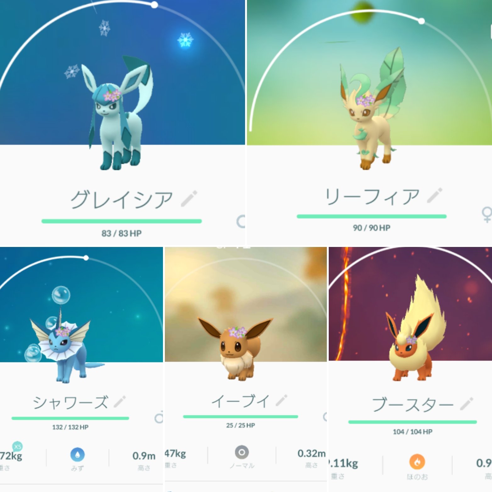 ゆうやんやん 21 Twitterren リーフィアとグレイシアが追加されてうれしい とっておいたお花イーブイさん進化したらお話ちゃんとついてる お花イーブイさんはあと3体 サンダース エーフィ ブラッキーと進化できるけど お花イーブイさんがいなくなってしまう