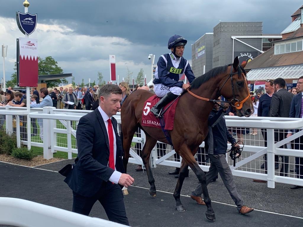 rhannonracing's tweet photo. A second win on the bounce for TEMPLE OF HEAVEN as he toughs it out @NewburyRacing @LeveySean in a thrilling finish making it two from two for his owners Rockcliffe Stud ππ #tworuns #twowins #RH https://t.co/2RswefnqxR