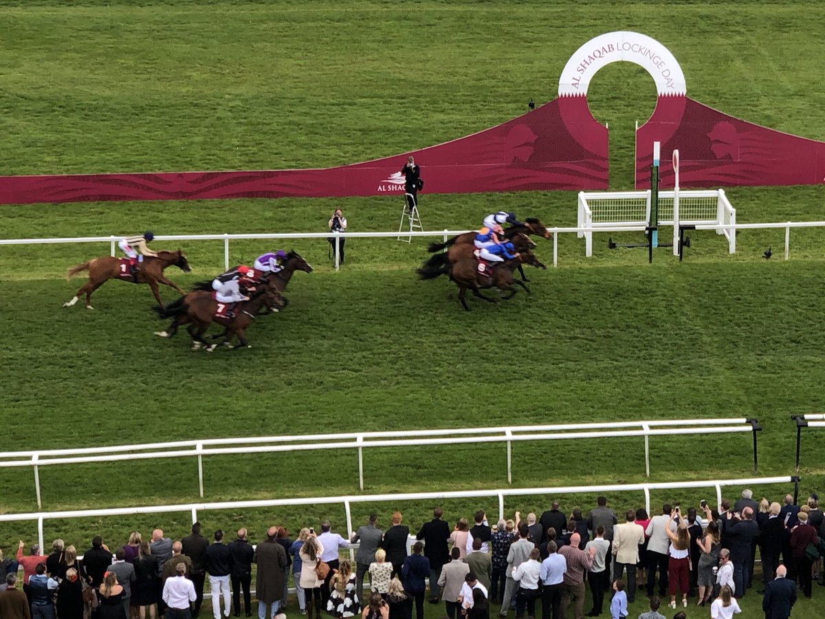 rhannonracing's tweet photo. A second win on the bounce for TEMPLE OF HEAVEN as he toughs it out @NewburyRacing @LeveySean in a thrilling finish making it two from two for his owners Rockcliffe Stud ππ #tworuns #twowins #RH https://t.co/2RswefnqxR