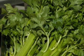 Celery Broth and Arthritis: holisticbackcare.com/2019/05/18/cel…