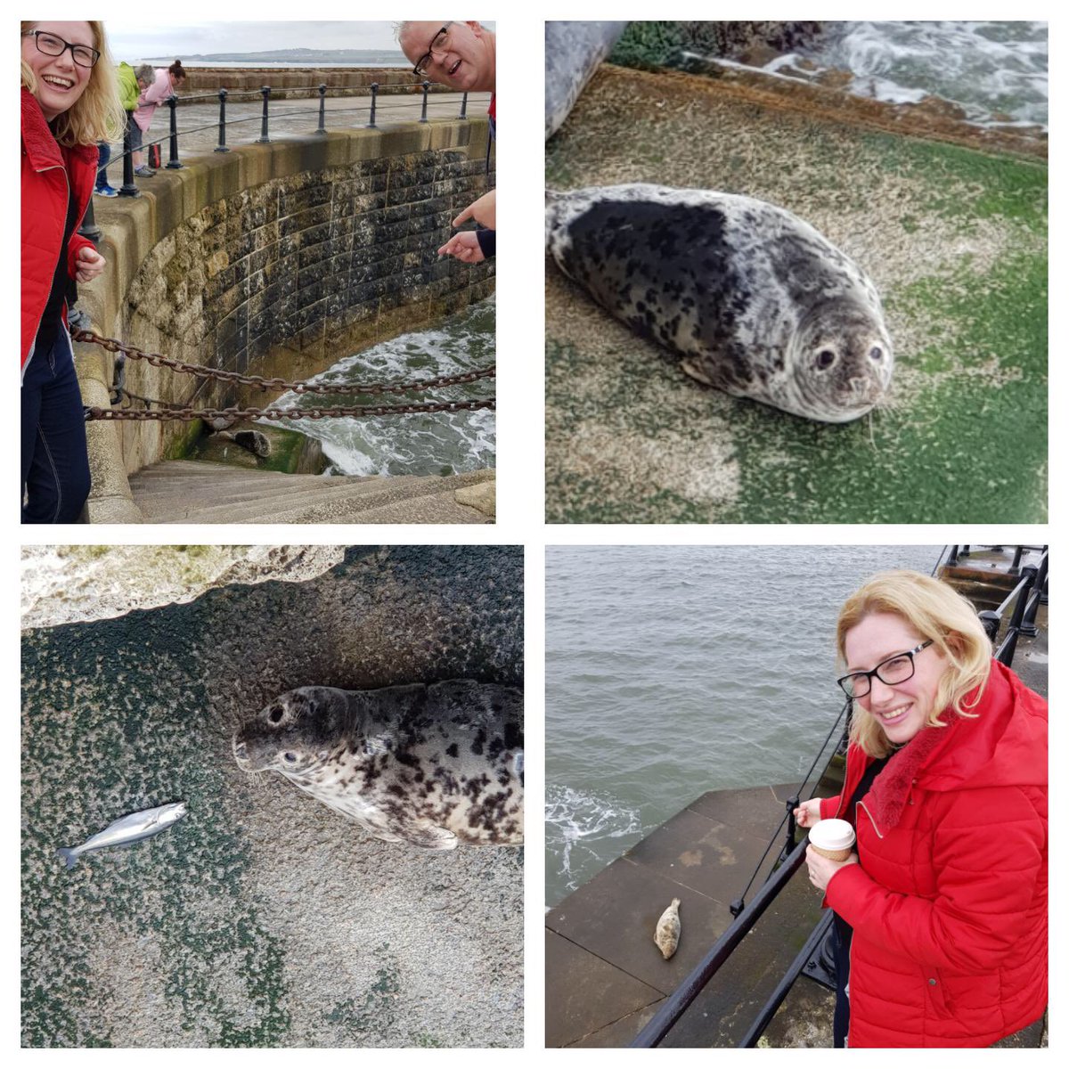 EmmaLewell's tweet image. Ah man how lush is Shields #Shieldsisgreat  ❤️