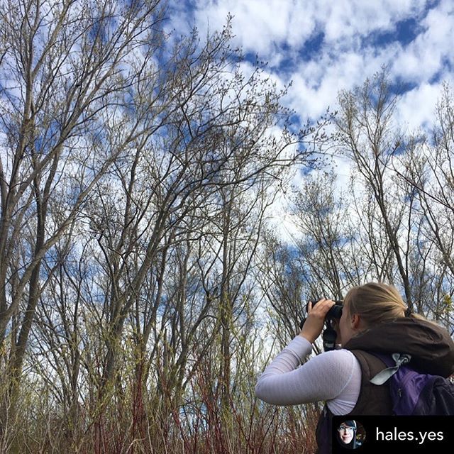 Every Park tweet media